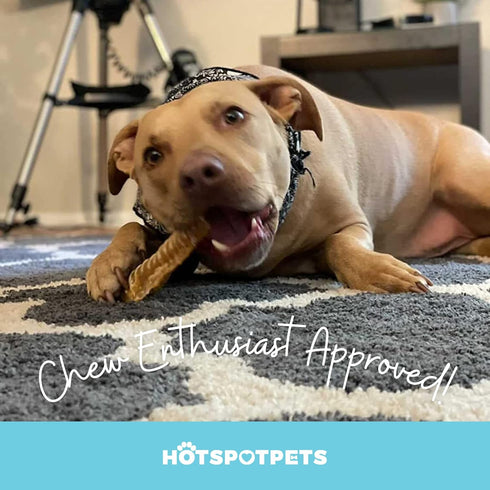 hotspot pets Premium Beef Trachea for Dogs 6" STRIPS Split - All Natural Grass-Fed Beef Dog Chews