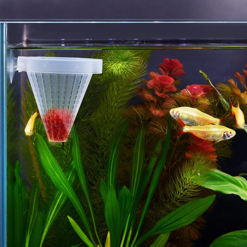 WEAVERBIRD 4PCS Aquarium Nematode Feeder, Live Blood Worm Plastic Cone Cup Shape Basket Feeder for Fish