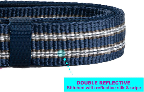Reflective Nylon Dog Collar - Adjustable Blue Neoprene Padding for Small Dogs (Neck 9.8"-15")
