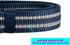 Reflective Nylon Dog Collar - Adjustable Blue Neoprene Padding for Small Dogs (Neck 9.8"-15")