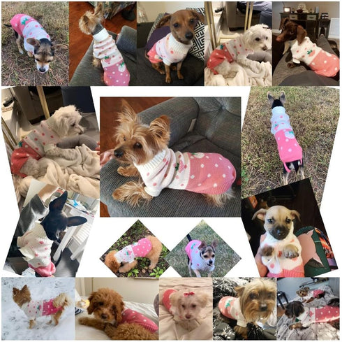 CHBORCHICEN Classic Knitwear Turtleneck Dog Sweater, Winter Warm Puppy Clothing with Cute Strawberry and Heart Design