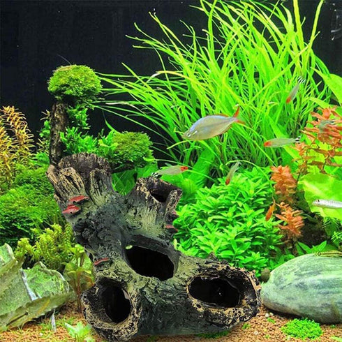 DoubleWood 2 PCS Decaying Trunk Betta Fish Driftwood, Aquarium Caves Fish Tank Wood Decor