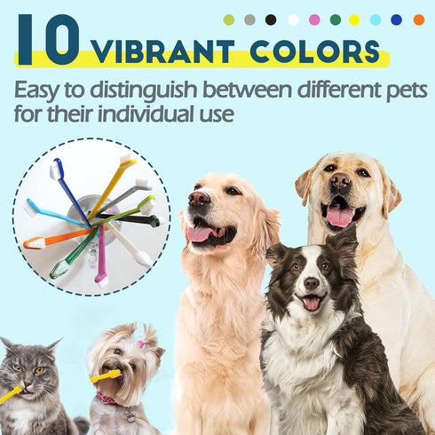 200 10 Pcs Dog Toothbrush Cat Tooth Brushes Bulk, Double Sided Brushing Kit, Teeth Cleaning Kit Soft Bristles Long
