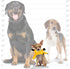 MIGHTY Nature Junior Fox Dog Toy, Durable Squeaker for Interactive Play, Machine Washable & Floats