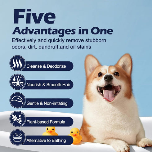 Pet Glove Wipes for Dogs - Coconut Scented Cleaning Gloves, Dual-Sided Grooming for Cats, 6 Count for Daily Care and
