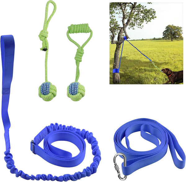 Outdoor Hanging Bungee Dog Toy - Interactive Tug Toy with 2 Chew Rope Toys for Small to Large Dogs, Best for Tug of War