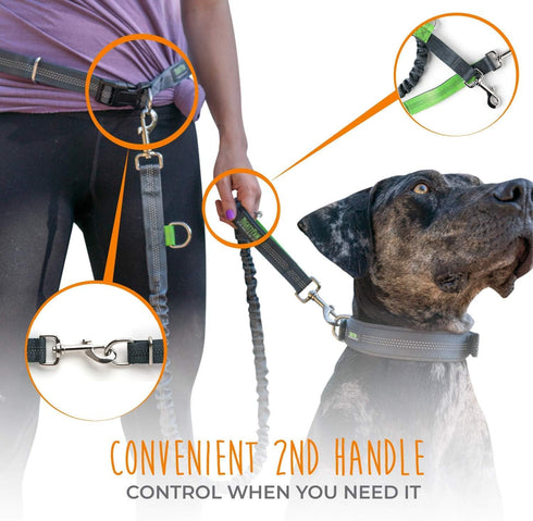 Mighty Paw Hands Free Dog Leash | Bungee Waist Leash for Dog Walking, Pet Waist Belt (36" - 48") - Gray, Up to 150 lbs