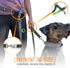 Mighty Paw Hands Free Dog Leash | Bungee Waist Leash for Dog Walking, Pet Waist Belt (36" - 48") - Gray, Up to 150 lbs