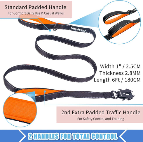 Strong Heavy Duty Dog Leash, 6ft Reflective Nylon Training Leash with Soft Padded Double Handle for Large, Medium,