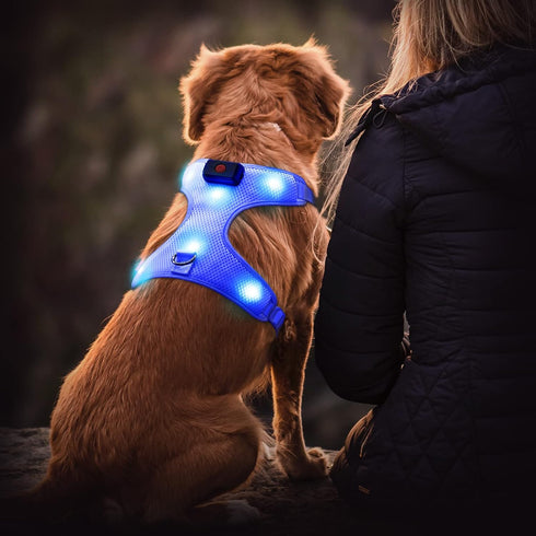 Flashseen LED Dog Harness - Lighted USB Rechargeable Pet Harness for Small, Medium, Large Dogs (Blue, L)