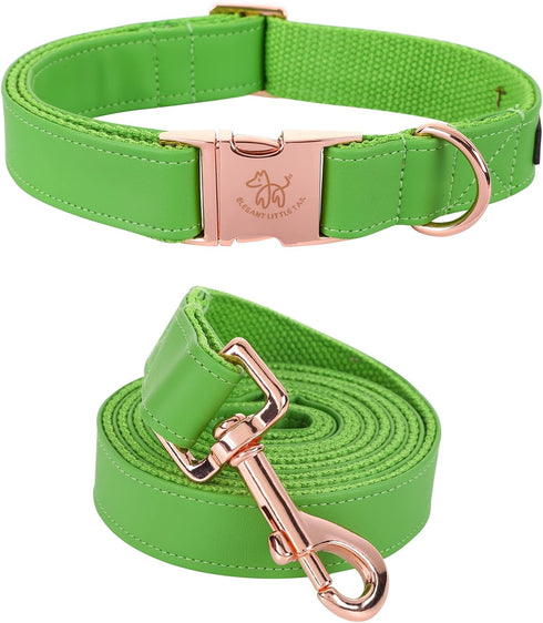 Elegant little tail Dog Collar and Leash, Durable Adjustable Pet Collar for Small Dogs