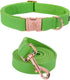 Elegant little tail Dog Collar and Leash, Durable Adjustable Pet Collar for Small Dogs