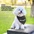 Parisian Pet Quirky Dog Bandana – ‘Security’ Printed Tie-On Neck Kerchief for Dogs, Cats, Puppies – Medium Size
