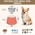 Salmon Stainless Steel Dog & Cat Bowls - Elevated Pet Feeding Essentials