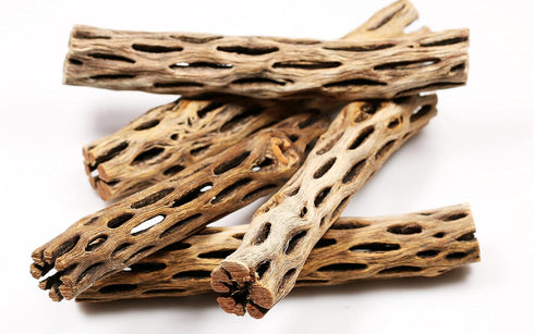Nature Aquascapes (6 (20 Pack) Premium Natural Cholla Wood for Aquarium Decoration, Hermit Crabs, Shrimps Long)
