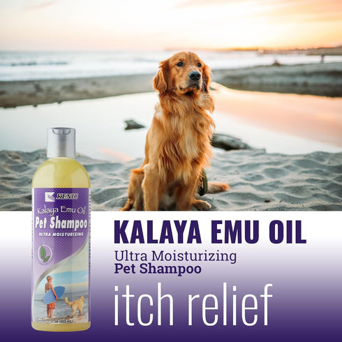 Kalaya Ultra Moisturizing & Restorative Emu Oil Pet Shampoo - Soap & Paraben Free for Dogs and Cats