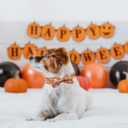 Elegant Little Tail Dog Collar, Fall Pumpkin Holiday Pet Collar, Adjustable Halloween Bow Collar for Large Dogs
