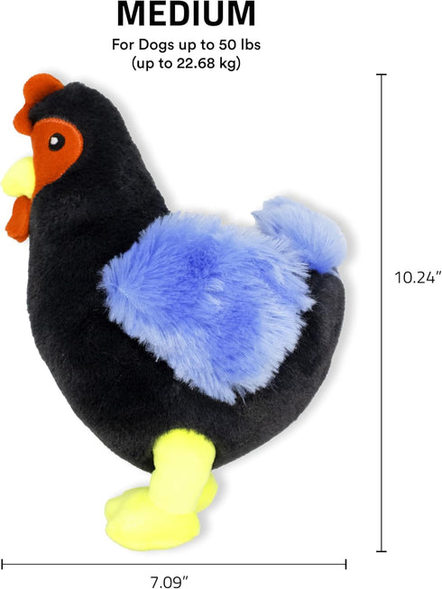 Playology Dog Toys | Plush Toy Hen Stuffed Animal for Dogs | Medium Chicken Scented Toy - Easy to Clean and Made from