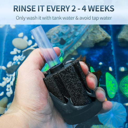 10 Pawfly Aquarium Sponge Filter, Small Fish Foam Filter with Tubing Suction Cup Check Valve Connector and Control