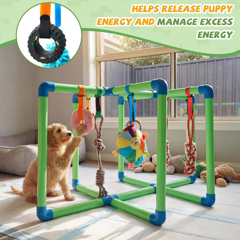RoundFunny 9 31.5 22.6 19 Inch Puppy Play Gym with Toys Small Dogs Indoor Jungle Playground PVC Frame with Bungee