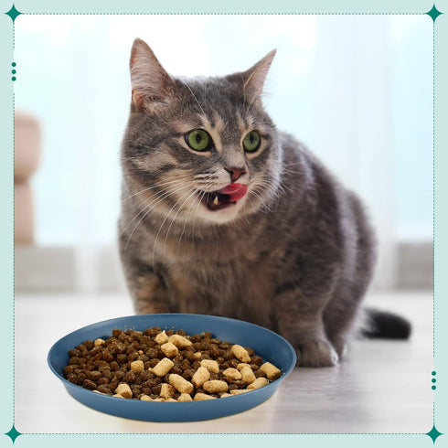 Gerrii 24 Pieces Cat Bowl - 6 Inch Shallow Whisker Fatigue Relief Dish for Kittens and Short Legged Cats