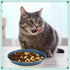 Gerrii 6 Pieces Shallow Cat Food Dish - Lightweight 6 Inch Wheat Straw Bowls for Small Cats