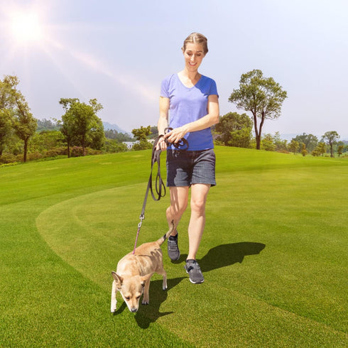 Dog/Puppy Obedience Recall Training Agility Lead - 30ft Leash - Great for Training, Play, Camping, 2 Packs