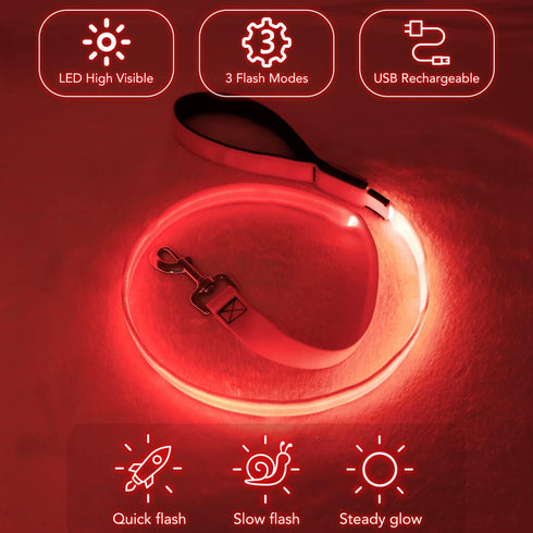 LED Dog Leash - 4 Feet Red Light Up Nylon Webbing, Micro USB Rechargeable Safety Standard Leash for Dogs