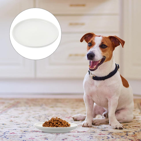 Ceramic Cat Bowls, Shallow Dog Bowls, Whisker Stress Cat Dishes, Stainless Steel White Puppy Food Ceramics