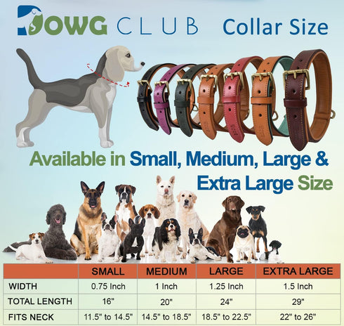 Formal Tuxedo Shirt Collar Style Genuine Leather Collar for Dogs & Cats - Comfortable Napa Padding (Tan, XL 22"-26")