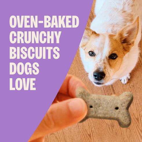 20 oz Wellness Old Mother Hubbard Hip & Joint Dog Biscuits, Natural Training Treats, Chicken, Apple, Oats, and Carrot