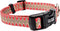 Fashion Dog Collar, 10 by 15-Inch, Passionate Pink Lily, Pink/Green