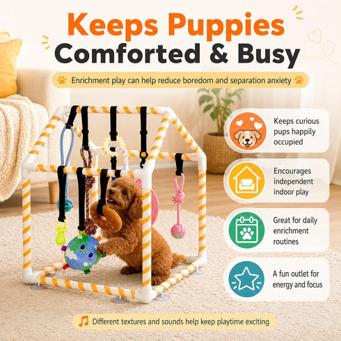 TAdgnba 8 Puppy Play Gym for Small Dogs, Dog Jungle Gym with Hanging Toys & Bungee Straps PVC Frame Indoor Jungle