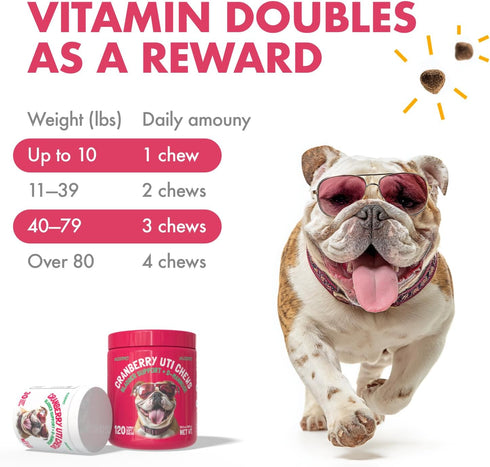 Immune 120 Cranberry UTI Chews for Dogs Bladder Support + D-Mannose Supports Kidney Urinary Tract and Bladder Health