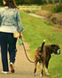 KALLAK Portable Dog Pooper Scooper, Hands Held Pet Poop Picker Upper with Integrated Bag Dispenser and 2 Rolls Waste
