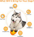 Dragon Egg Dog Chew Toy for Aggressive Chewers, Indestructible Tough Toy for Medium Large Dogs, Puppy Pet Toy
