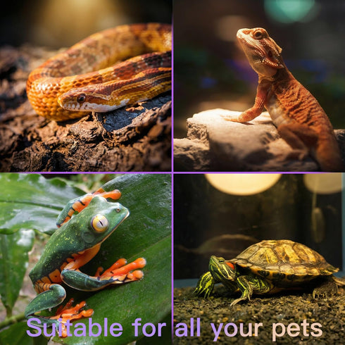 All-in-One Reptile Heat Lamp Bundle, Dual-Head UVB&UVA Lamp with Timer & Hygrothermograph, High UVA Lighting