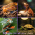 All-in-One Reptile Heat Lamp Bundle, Dual-Head UVB&UVA Lamp with Timer & Hygrothermograph, High UVA Lighting