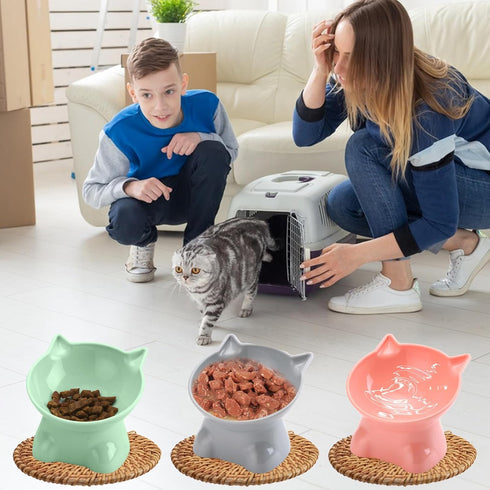 3PCS Elevated Cat Bowls, 15° Tilted Raised Anti-Vomiting Food and Water Bowl Set, Shallow Whisker Friendly Cat Dish