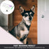 Dog Pregnancy Kit, 1 Set Fast and Accurate Detection Early Pregnancy Test Kit for Dogs and Cats
