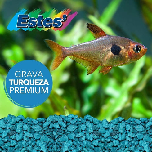 Special Turquoise Aquarium Gravel for Freshwater Aquariums, 5-Pound Bag (2 Pack)