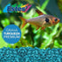 Special Turquoise Aquarium Gravel for Freshwater Aquariums, 5-Pound Bag (2 Pack)