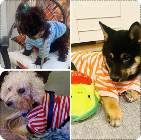 Geyoga 6 Pieces Dog Striped T-Shirt Cotton Breathable Pet Apparel for Small to Medium Dogs (M)