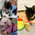 Geyoga 6 Pieces Dog Striped T-Shirt Cotton Breathable Pet Apparel for Small to Medium Dogs (M)