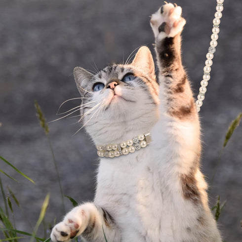 Weewooday 2 Pcs Dog Wedding Collar with Leash - Pearl Necklace Collar and Beaded Leash for Pet Cat Bridal
