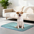 Soutng Holden (18x24(2 Pack)) Pee Pads for Dogs,Waterproof Dog Training Pads,Playpen Mat,Non-Slip Potty Pads,Super