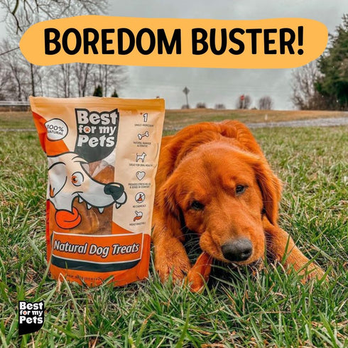6Inch 8 oz Best For My Pets OdorFree Beef Bully Sticks, Bag - SingleIngredient, LongLasting Natural Dental Dog Chews