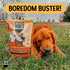 6Inch 8 oz Best For My Pets OdorFree Beef Bully Sticks, Bag - SingleIngredient, LongLasting Natural Dental Dog Chews