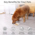 2PCS MateeyLife Large Lick Mat for Dogs with Suction Cups, Slow Feeder Bowls, Cat Lick Mat for Anxiety Relief, Dog Toys