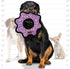 TUFFY World's Tuffest Soft Dog Toy, Ultimate Gear Ring Pink Leopard, Multiple Layers for Interactive Play, Machine